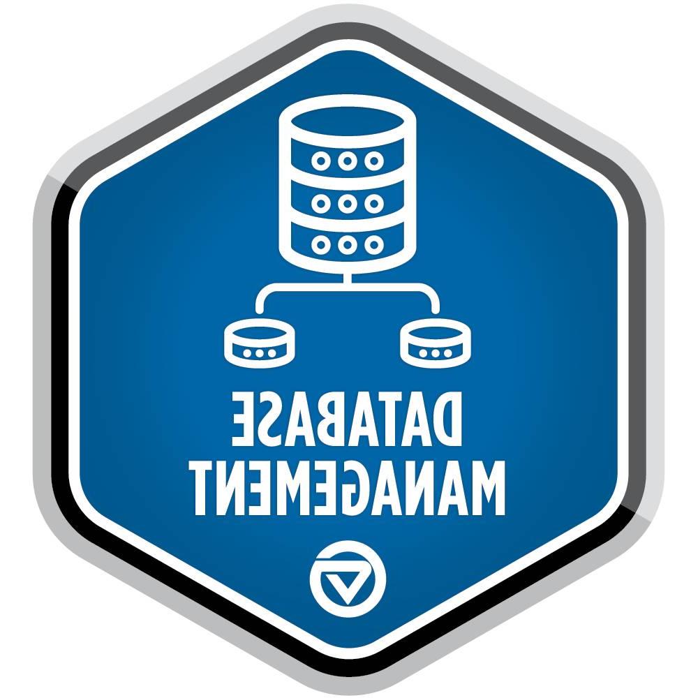 数据库管理徽章.